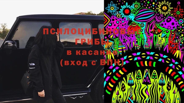 PSILOCYBIN Алзамай