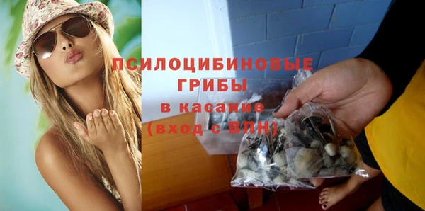 хмурый Алексин