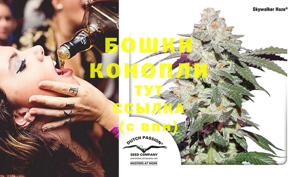 PSILOCYBIN Алзамай