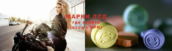 PSILOCYBIN Алзамай