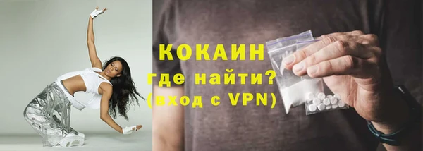 хмурый Алексин