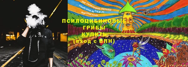 PSILOCYBIN Алзамай