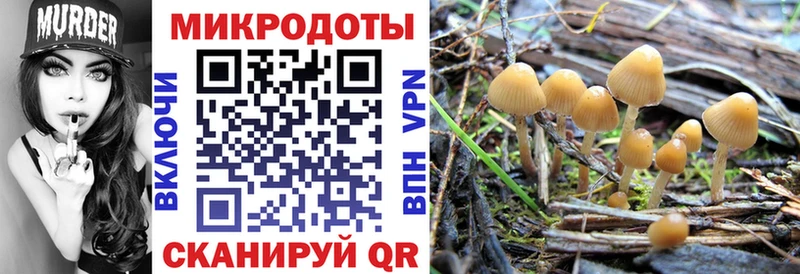 Псилоцибиновые грибы мухоморы Петровск