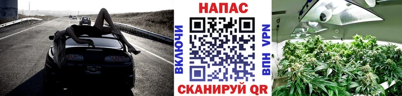 Канабис OG Kush Петровск